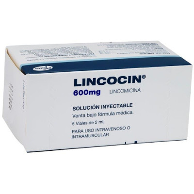 LINCOCIN 600 MGS X 5 VIALES DE 2 ML - I.V/I.M X DETALLADO